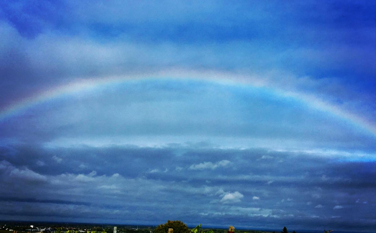 Rebenregenbogen